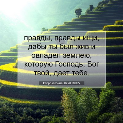 Picture 07 - Второзаконие 16:20 RUSV - правды, правды ищи, дабы ты - Bible Verse Picture