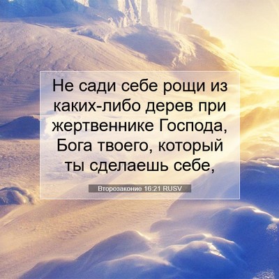 Picture 07 - Второзаконие 16:21 RUSV - Не сади себе рощи из - Bible Verse Picture