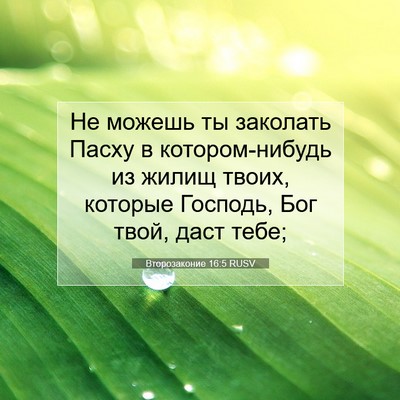 Picture 07 - Второзаконие 16:5 RUSV - Не можешь ты заколать - Bible Verse Picture