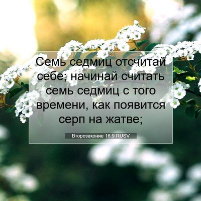Picture 07 - Второзаконие 16:9 RUSV - Семь седмиц отсчитай себе; - Bible Verse Picture