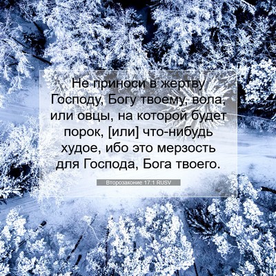 Picture 07 - Второзаконие 17:1 RUSV - Не приноси в жертву - Bible Verse Picture