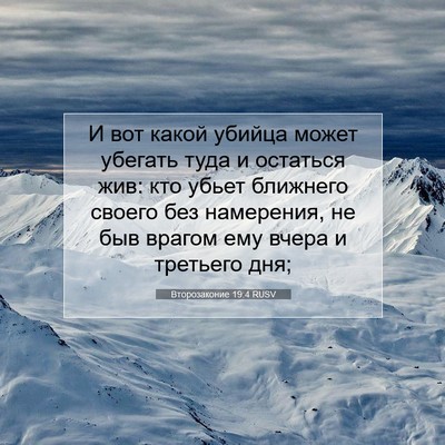 Picture 07 - Второзаконие 19:4 RUSV - И вот какой убийца может - Bible Verse Picture