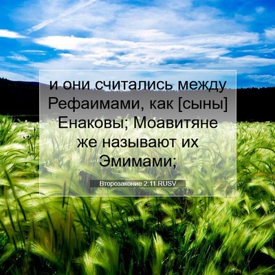 Picture 07 - Второзаконие 2:11 RUSV - и они считались между - Bible Verse Picture