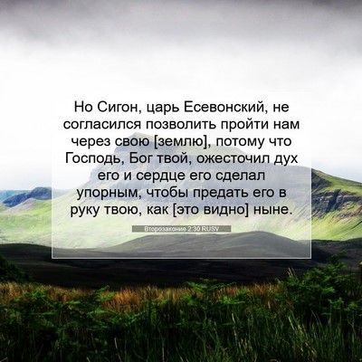 Picture 07 - Второзаконие 2:30 RUSV - Но Сигон, царь Есевонский, - Bible Verse Picture