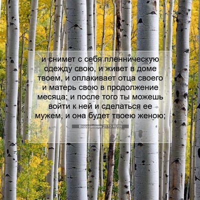 Picture 07 - Второзаконие 21:13 RUSV - и снимет с себя - Bible Verse Picture