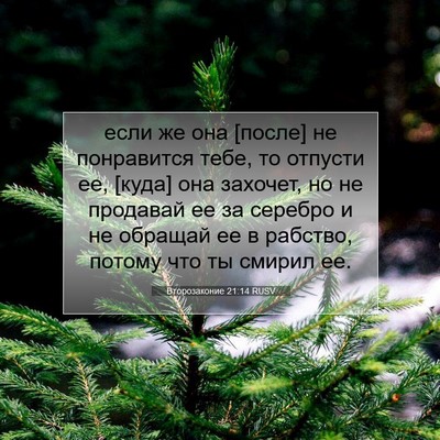Picture 07 - Второзаконие 21:14 RUSV - если же она [после] не - Bible Verse Picture