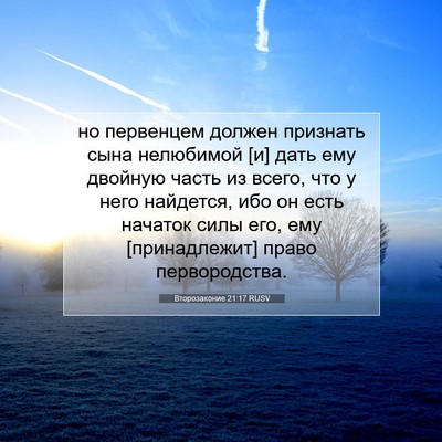 Picture 07 - Второзаконие 21:17 RUSV - но первенцем должен - Bible Verse Picture