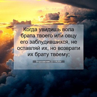Picture 07 - Второзаконие 22:1 RUSV - Когда увидишь вола брата - Bible Verse Picture