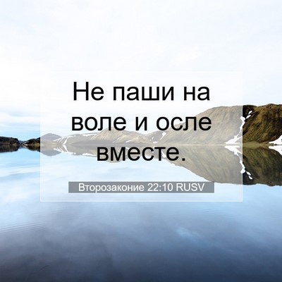 Picture 07 - Второзаконие 22:10 RUSV - Не паши на воле и осле - Bible Verse Picture
