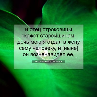 Picture 07 - Второзаконие 22:16 RUSV - и отец отроковицы скажет - Bible Verse Picture