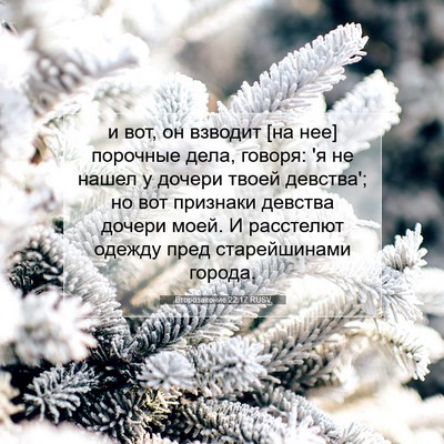 Picture 07 - Второзаконие 22:17 RUSV - и вот, он взводит [на нее] - Bible Verse Picture