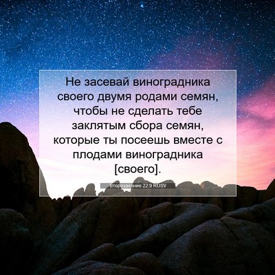 Picture 07 - Второзаконие 22:9 RUSV - Не засевай виноградника - Bible Verse Picture