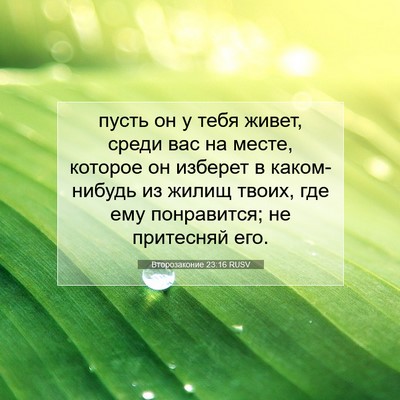 Picture 07 - Второзаконие 23:16 RUSV - пусть он у тебя живет, - Bible Verse Picture