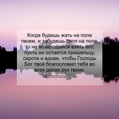 Picture 07 - Второзаконие 24:19 RUSV - Когда будешь жать на поле - Bible Verse Picture