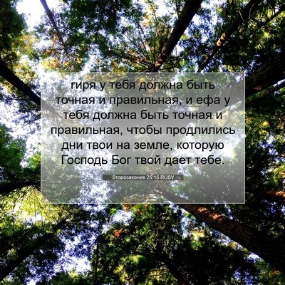 Picture 07 - Второзаконие 25:15 RUSV - гиря у тебя должна быть - Bible Verse Picture
