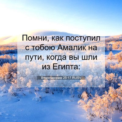 Picture 07 - Второзаконие 25:17 RUSV - Помни, как поступил с тобою - Bible Verse Picture