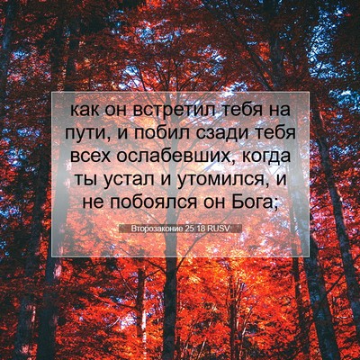 Picture 07 - Второзаконие 25:18 RUSV - как он встретил тебя на - Bible Verse Picture