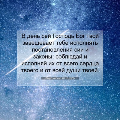Picture 07 - Второзаконие 26:16 RUSV - В день сей Господь Бог твой - Bible Verse Picture