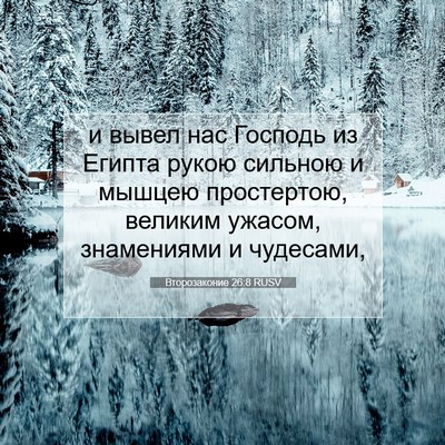 Picture 07 - Второзаконие 26:8 RUSV - и вывел нас Господь из - Bible Verse Picture