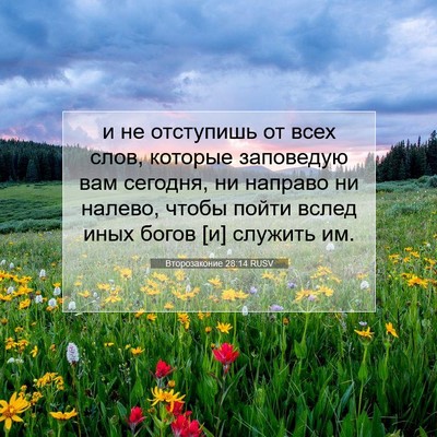 Picture 07 - Второзаконие 28:14 RUSV - и не отступишь от всех - Bible Verse Picture