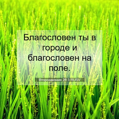 Picture 07 - Второзаконие 28:3 RUSV - Благословен ты в городе и - Bible Verse Picture