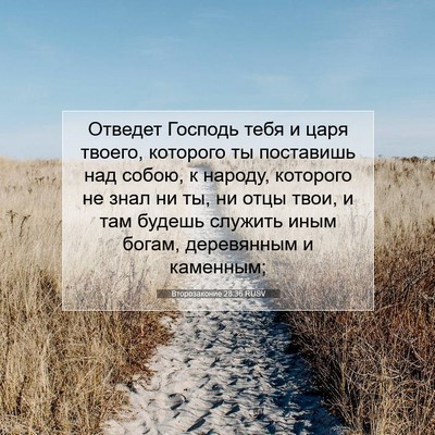 Picture 07 - Второзаконие 28:36 RUSV - Отведет Господь тебя и - Bible Verse Picture