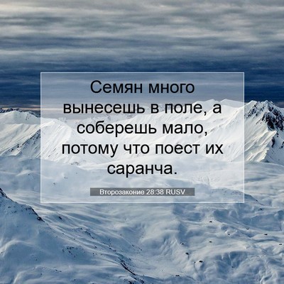 Picture 07 - Второзаконие 28:38 RUSV - Семян много вынесешь в - Bible Verse Picture