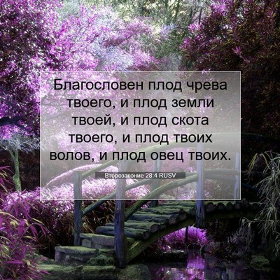 Picture 07 - Второзаконие 28:4 RUSV - Благословен плод чрева - Bible Verse Picture