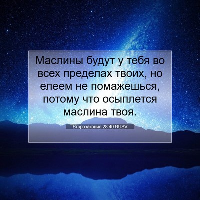 Picture 07 - Второзаконие 28:40 RUSV - Маслины будут у тебя во - Bible Verse Picture