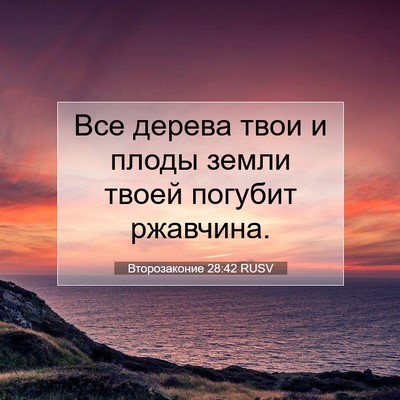 Picture 07 - Второзаконие 28:42 RUSV - Все дерева твои и плоды - Bible Verse Picture