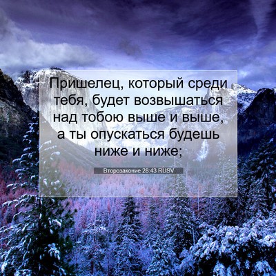 Picture 07 - Второзаконие 28:43 RUSV - Пришелец, который среди - Bible Verse Picture