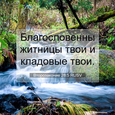 Picture 07 - Второзаконие 28:5 RUSV - Благословенны житницы - Bible Verse Picture