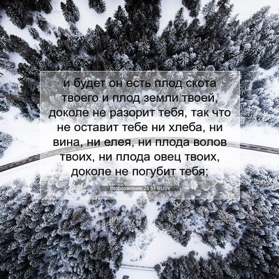 Picture 07 - Второзаконие 28:51 RUSV - и будет он есть плод скота - Bible Verse Picture