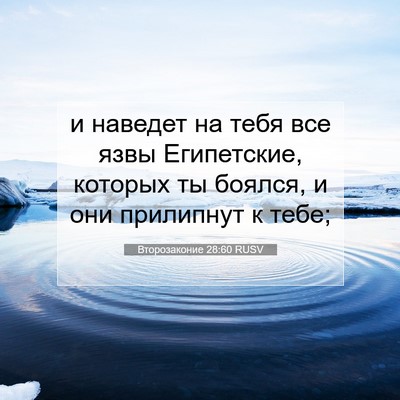 Picture 07 - Второзаконие 28:60 RUSV - и наведет на тебя все язвы - Bible Verse Picture