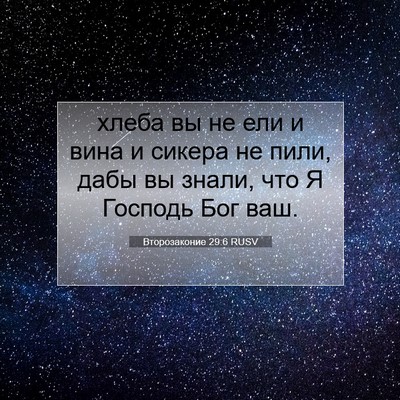Picture 07 - Второзаконие 29:6 RUSV - хлеба вы не ели и вина и - Bible Verse Picture