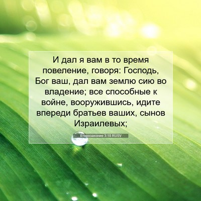 Picture 07 - Второзаконие 3:18 RUSV - И дал я вам в то время - Bible Verse Picture