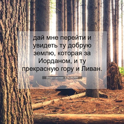 Picture 07 - Второзаконие 3:25 RUSV - дай мне перейти и увидеть - Bible Verse Picture