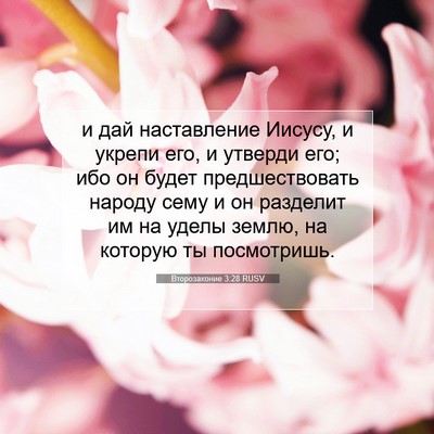 Picture 07 - Второзаконие 3:28 RUSV - и дай наставление Иисусу, и - Bible Verse Picture