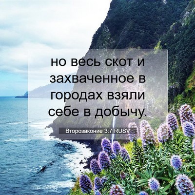 Picture 07 - Второзаконие 3:7 RUSV - но весь скот и захваченное - Bible Verse Picture