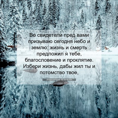 Picture 07 - Второзаконие 30:19 RUSV - Во свидетели пред вами - Bible Verse Picture