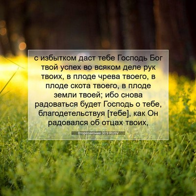 Picture 07 - Второзаконие 30:9 RUSV - с избытком даст тебе - Bible Verse Picture
