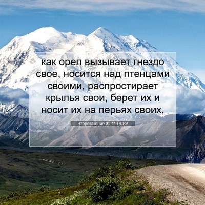 Picture 07 - Второзаконие 32:11 RUSV - как орел вызывает гнездо - Bible Verse Picture