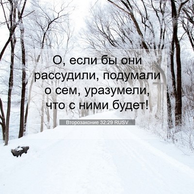 Picture 07 - Второзаконие 32:29 RUSV - О, если бы они рассудили, - Bible Verse Picture