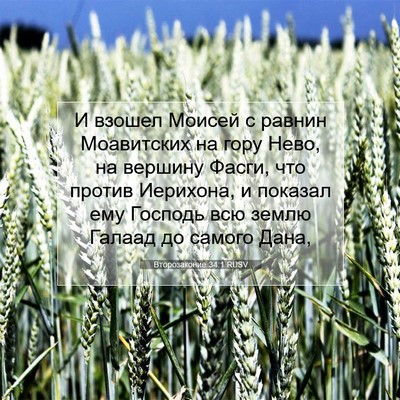 Picture 07 - Второзаконие 34:1 RUSV - И взошел Моисей с равнин - Bible Verse Picture