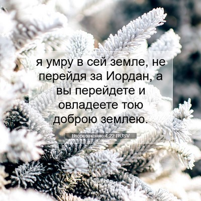 Picture 07 - Второзаконие 4:22 RUSV - я умру в сей земле, не - Bible Verse Picture