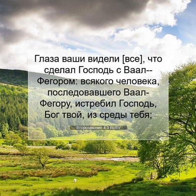 Picture 07 - Второзаконие 4:3 RUSV - Глаза ваши видели [все], что - Bible Verse Picture