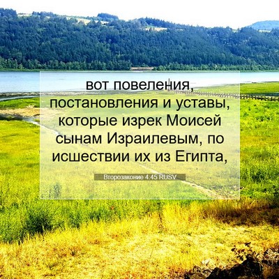 Picture 07 - Второзаконие 4:45 RUSV - вот повеления, - Bible Verse Picture