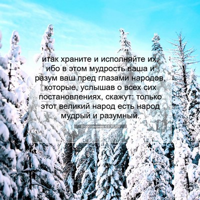 Picture 07 - Второзаконие 4:6 RUSV - итак храните и исполняйте - Bible Verse Picture
