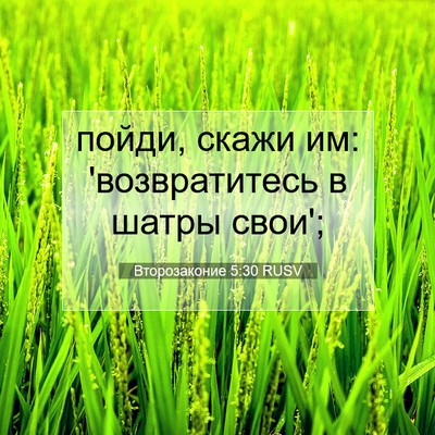Picture 07 - Второзаконие 5:30 RUSV - пойди, скажи им: - Bible Verse Picture