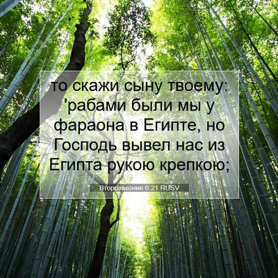 Picture 07 - Второзаконие 6:21 RUSV - то скажи сыну твоему: - Bible Verse Picture